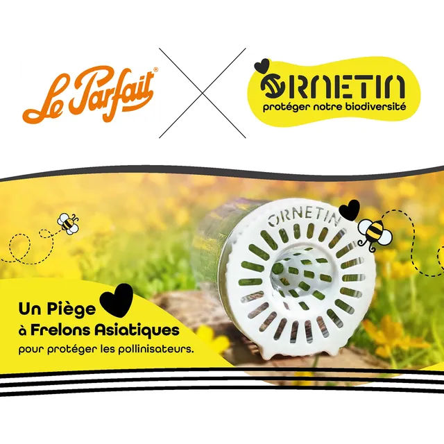 pi-ge-frelons-asiatiques-familia-wiss-750-100-le-parfait-x-ornetine image 1